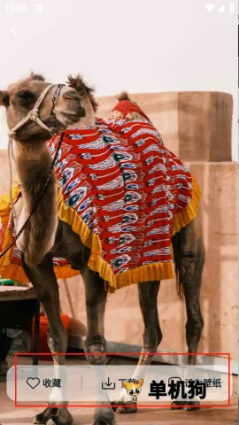 Ծ����ֽ2026�ٷ�����