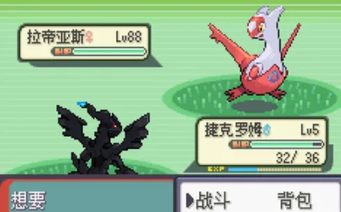 �ڴ������������������ֻ���