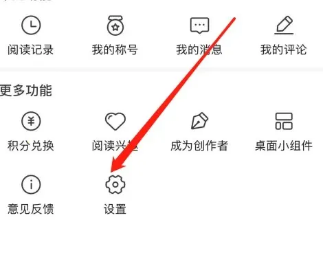 ����С˵��������