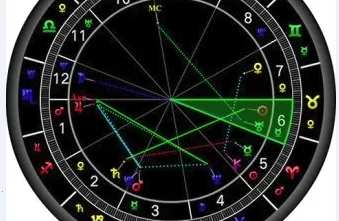 81panռ��2026�ٷ�����