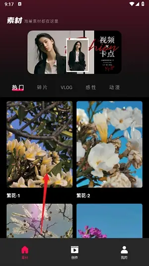 tibni���عٷ�����