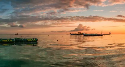 ��������(������Ѷ����)