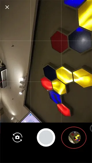 �ȸ����(������Ӱ����)