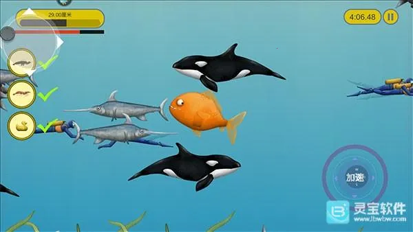 ��ζ���������ֻ���