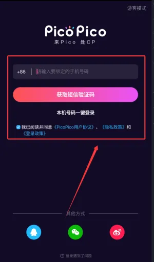 PicoPico(Ȥζ�罻����)