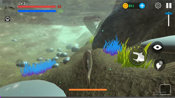 ���״���ɱ����