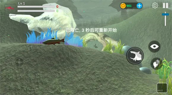 ���״���ɱ����