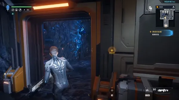 ��������������2026�ٷ����°汾