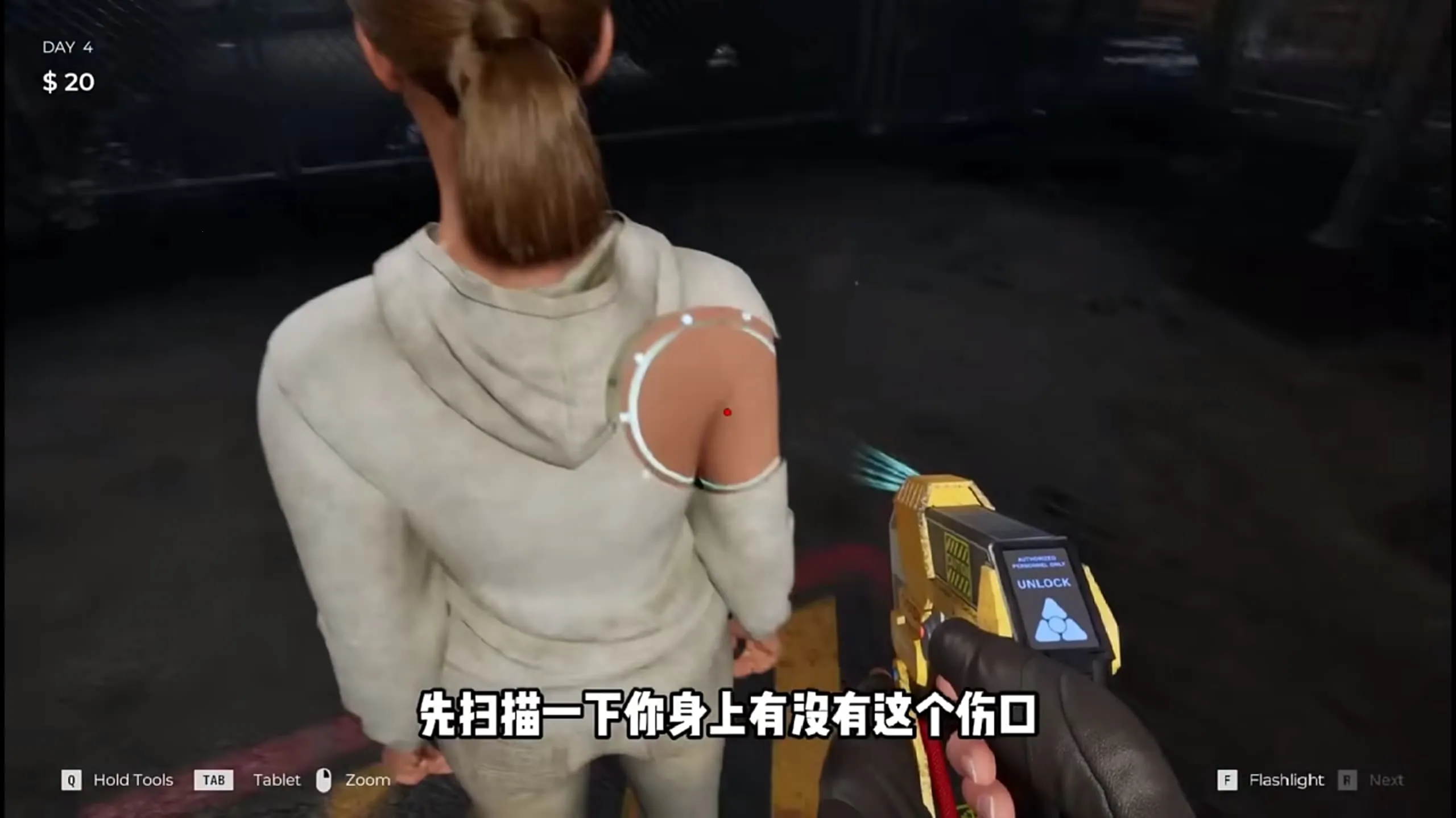 ɥʬ�߾�����������İ�