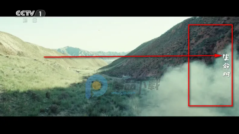 �������TV2026�ٷ�����