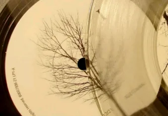 全民音乐播放器(音乐播放软件) 全民音乐播放器(音乐播放软件)