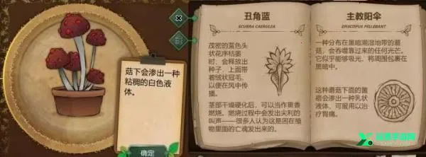 ����԰��2026�ٷ����°汾