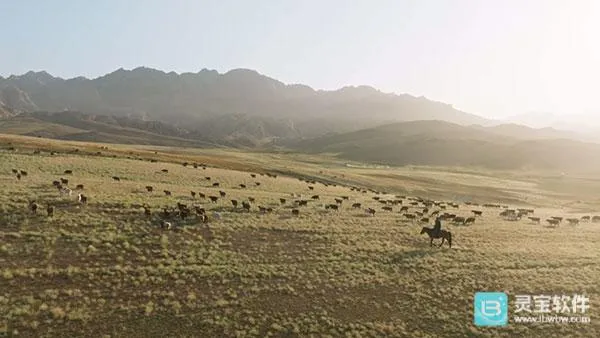 全聚合TV(智能电视播放软件) 全聚合TV(智能电视播放软件)