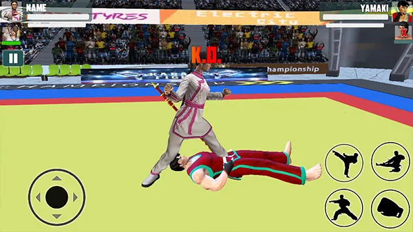 Karate fighter(�����ʦ����Ϸ)