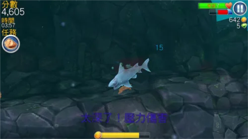 ���������(������������)