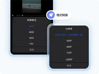 �鵥��Ƶ����2026�ٷ�����