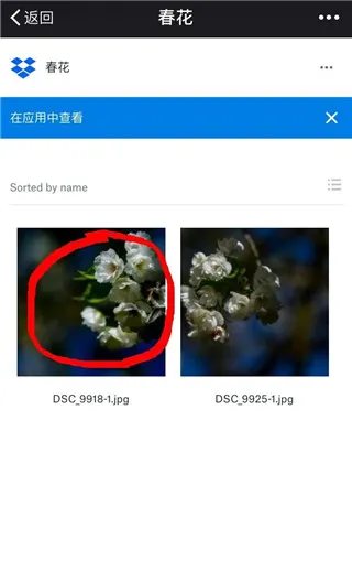 dropbox2026官方正版 dropbox2026官方正版
