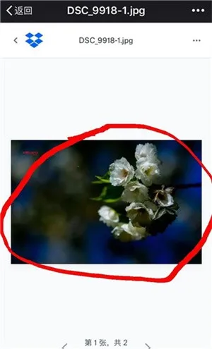 dropbox2026官方正版 dropbox2026官方正版