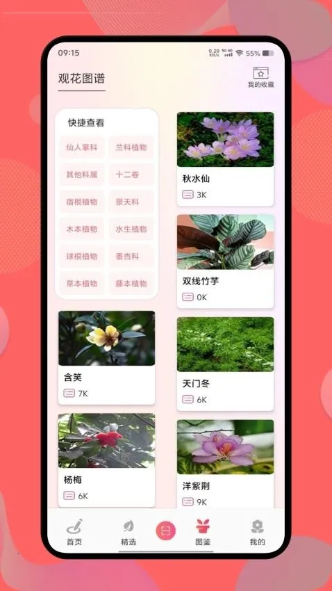 ������(����֪ʶƽ̨)