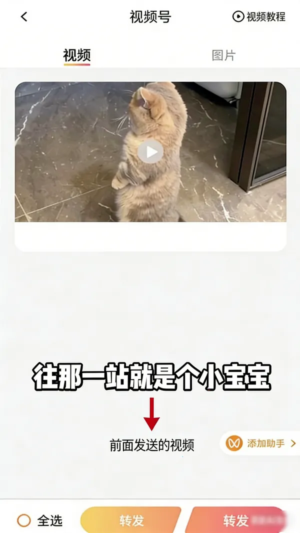 ���ͼ��׿���ֻ���