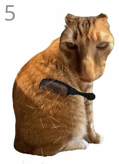 ��è��ë2026���ذ�װ