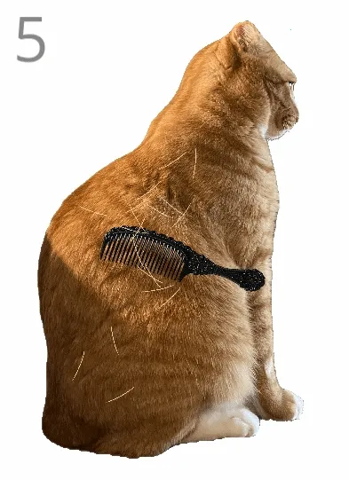 ��è��ë2026���ذ�װ