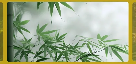 ��Ȼʱ��2026�ٷ����°汾