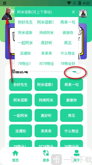 ����ŵ˹������(�������Ź���)