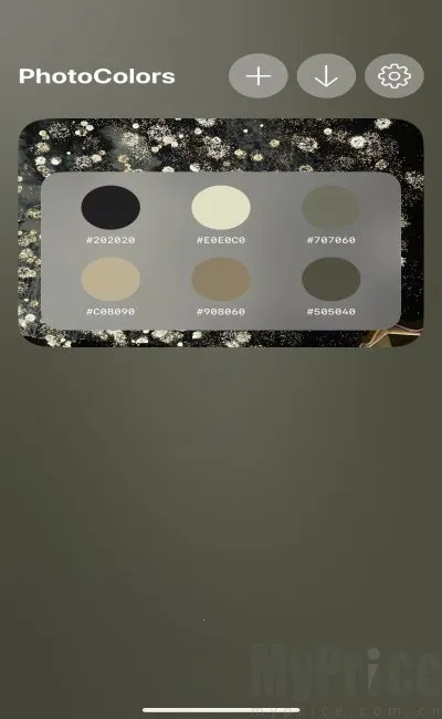 PhotoColors2026�ٷ����°汾